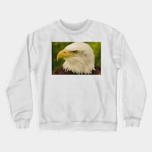 Bald Eagle (Warm) Crewneck Sweatshirt